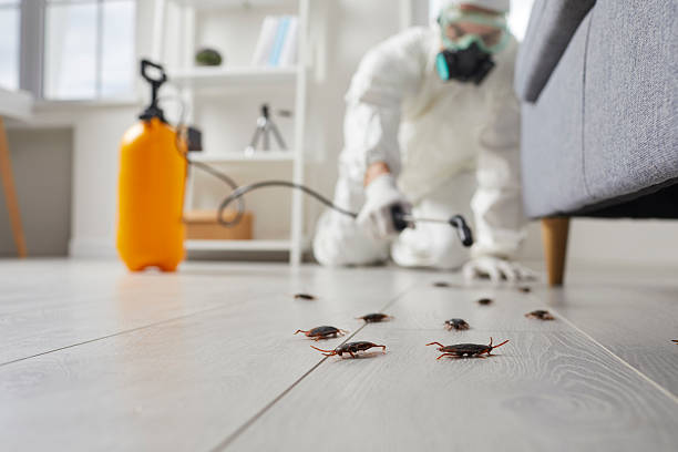 Commercial Rodent Management in Patrick AFB